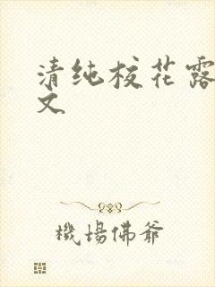 清纯校花露出h文