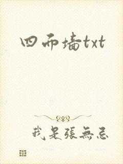 四面墙txt封面