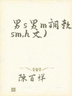 男s男m调教(sm,h文)封面
