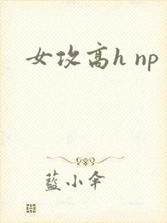 女攻高h np