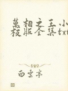 万相之王小说精校版全集txt