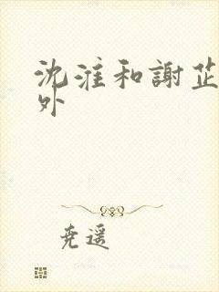 沈淮和谢芷的番外