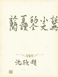 于夏的小说免费阅读全文无弹窗