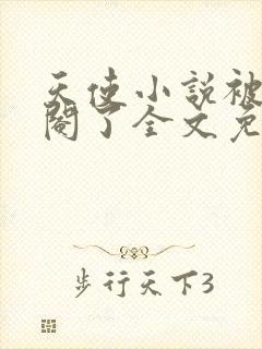 天使小说被女王阉了全文免费阅读