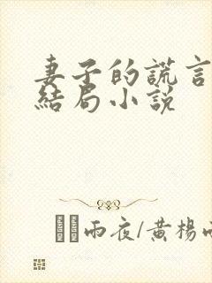 妻子的谎言程心结局小说