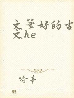 文笔好的古言虐文he
