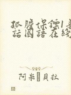 孤胆保镖1普通话国语在线观看