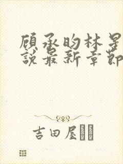 顾承昀林星禾小说最新章节免费阅读