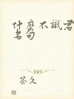 什么不识君古诗名句