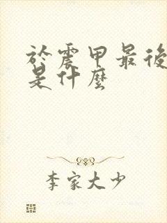 于震甲最后结局是什么封面