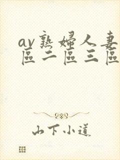 av熟妇人妻一区二区三区