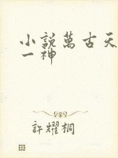 小说万古天帝第一神