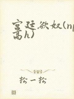 宫廷欲奴(np高h)