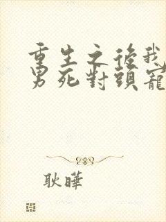 重生之后我被渣男死对头宠上天