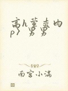 高h荤爽肉〈np〉男男