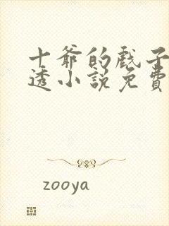 十爷的戏子摸不透小说免费阅读