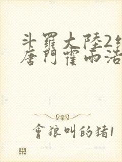 斗罗大陆2绝世唐门霍雨浩