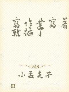 写作业写着写着就插了