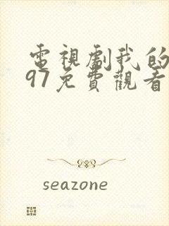 电视剧我的1997免费观看全集完整封面