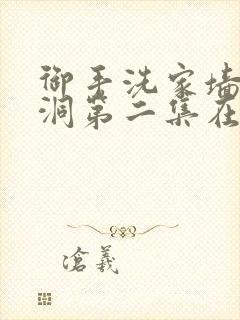 御手洗家墙壁破洞第二集在线