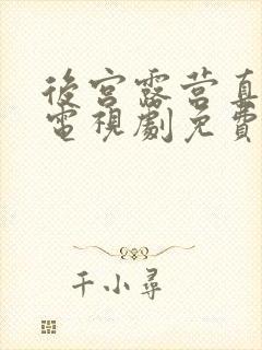 后宫露营真人版电视剧免费观