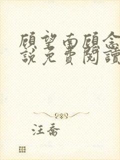 顾望南顾念北小说免费阅读最新章节