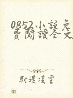 0852小说免费阅读全文最新章节封面