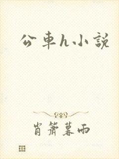 公车h小说