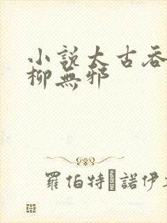 小说太古吞天诀柳无邪