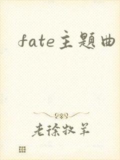 fate主题曲封面