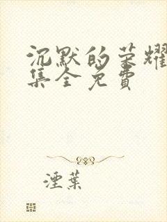 沉默的荣耀27集全免费