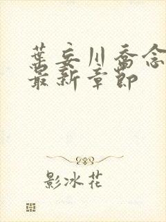 叶妄川乔念小说最新章节