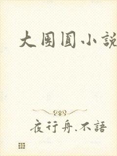 大团圆小说封面