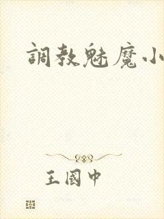 调教魅魔小说