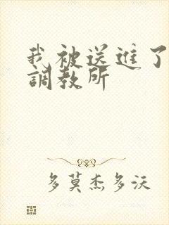 我被送进了私奴调教所