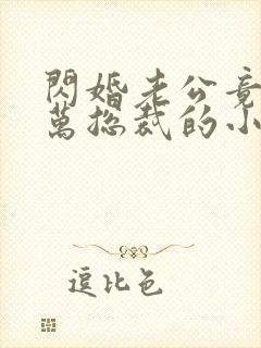 闪婚老公竟是亿万总裁的小说