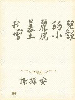 我美丽的儿媳小雪王虎小说封面