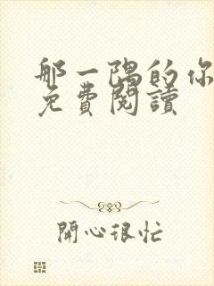 那一隅的你小说免费阅读