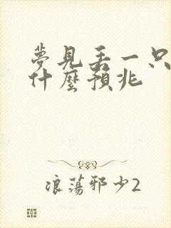 梦见丢一只袜子什么预兆