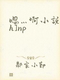 嗯…啊小说[高h]np