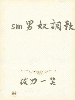 sm男奴调教文