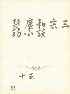 楚尘和宋三小姐的小说封面