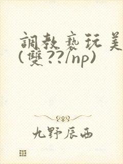 调教亵玩美人受(双??/np)