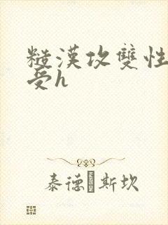 糙汉攻双性美人受h