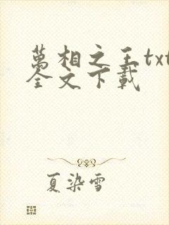 万相之王txt全文下载