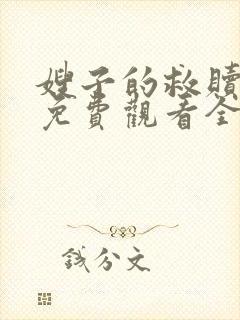 嫂子的救赎日剧免费观看全集中文版