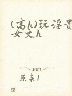 (高h)玩淫贵女文h