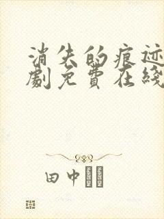 消失的痕迹电视剧免费在线观看