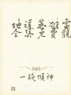 地道英雄电视剧全集免费观看