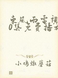 东风雨电视剧40集免费播放在线观看